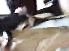 Newly Married Bhabhi - Movies.